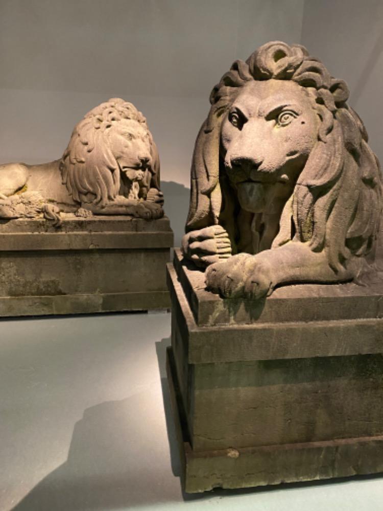 Exceptional pair of 19th century monumental bluestone lions.