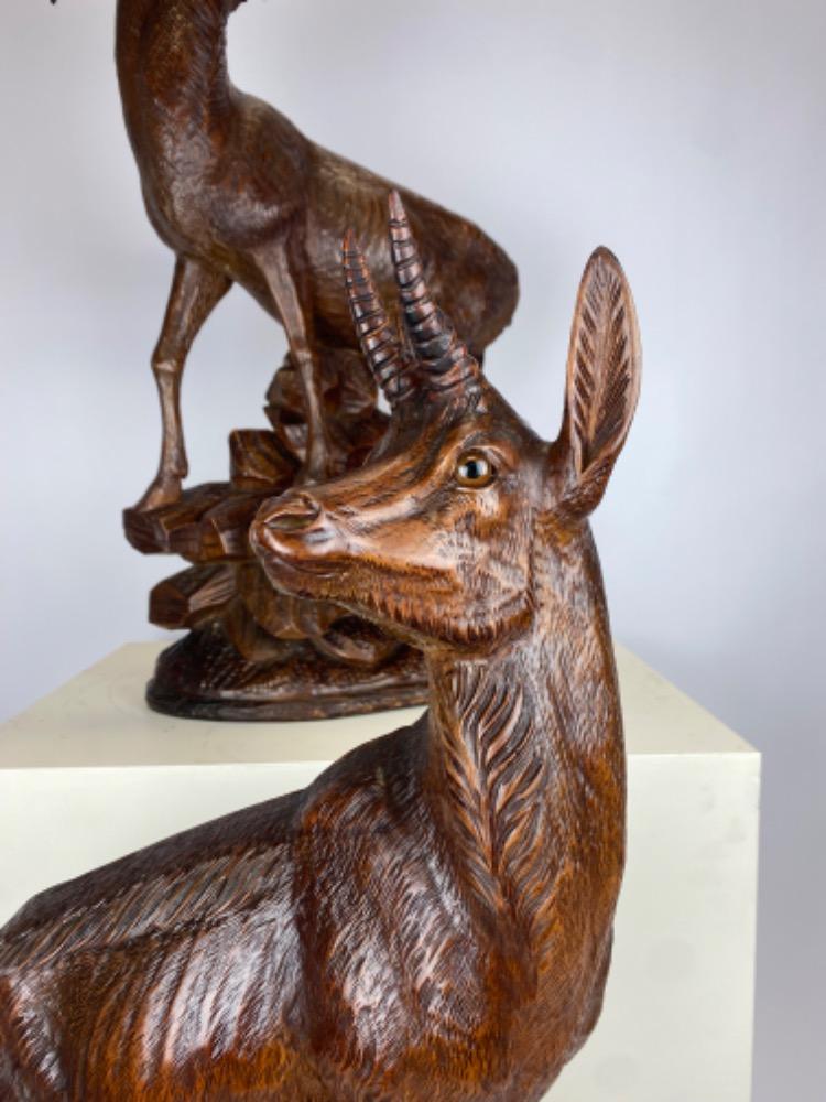 Pair large late 19thC Black Forest carved wood chamois with glass eyes.